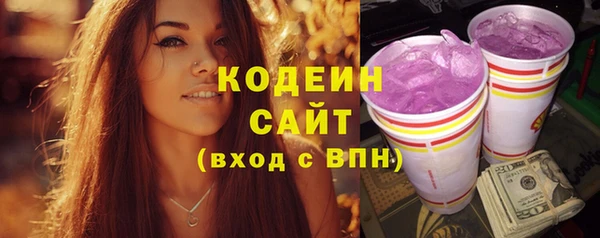 прущий лед Арсеньев