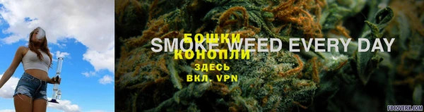 бошки Аркадак