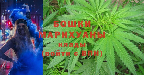 прущий лед Арсеньев