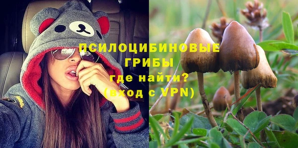 первитин Армянск