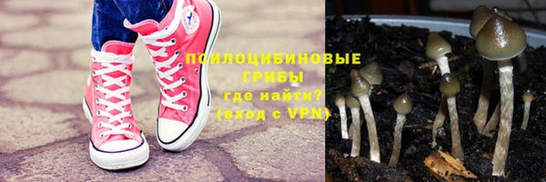 прущий лед Арсеньев